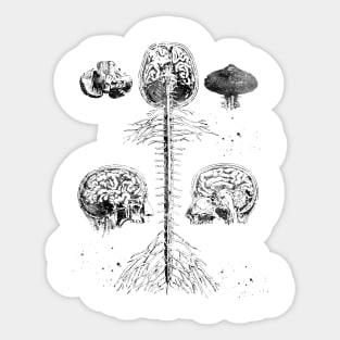 Brain and spine Sticker